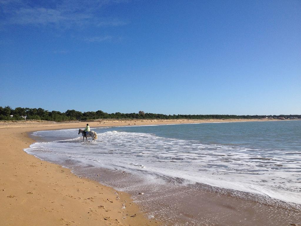 Appartement 43 M2 Front De Mer 3 Cles Vacances La Tranche-sur-Mer Chambre photo